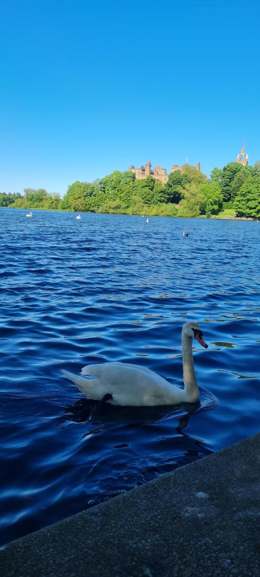 Stylish Home In Linlithgow With Free Parking Buitenkant foto